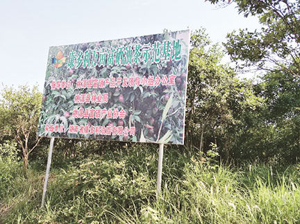 FUN88·乐天堂(中国游)官方网站