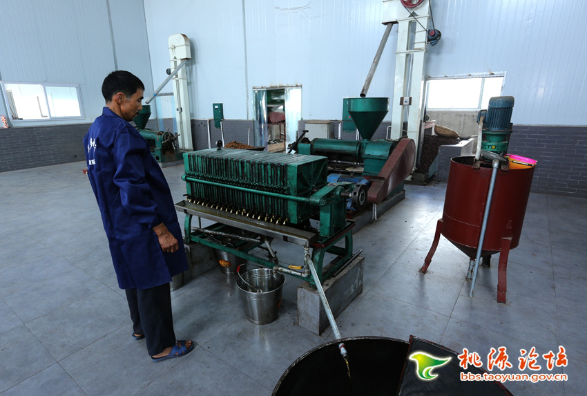 fun88,油茶莳植生产加工销售,植物油莳植生产加工销售